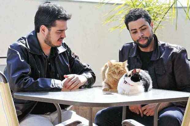 Samuel Douglas e Wagner Patrick deram muito carinho  fmea Bastet e ao macho Anakin. Foto: Jair Amaral/DA/D. A Press