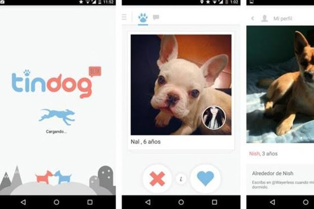 Aplicativo é compatível com Android e iOS. Foto: Divulgação Aplicativo é compatível com Android e iOS. Foto: Divulgação