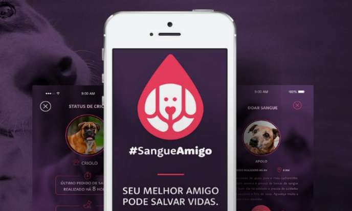Sangue Amigo, o aplicativo que transforma seu cãozinho em um doador. Foto: Divulgação/ Facebook Sangue Amigo, o aplicativo que transforma seu cãozinho em um doador. Foto: Divulgação/ Facebook