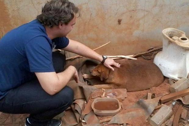 O cão vivia em condições inadequadas antes de ser resgatado. Foto: Arquivo Pessoal/Divulgação. O cão vivia em condições inadequadas antes de ser resgatado. Foto: Arquivo Pessoal/Divulgação.