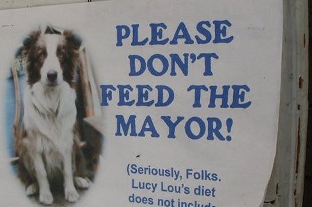 Placa na comunidade pede que a "prefeita" no seja alimentada pelos moradores. Foto: Virginia Wilmhoff/Pinterest/Reproduo