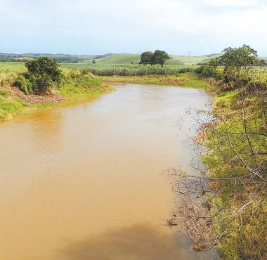 Em alguns trechos do rio sero recuperados at 30 metros de margens. Foto: Bruna Oliveira/ Divulgao