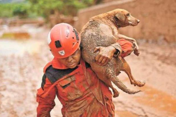 Imagem do resgate do cachorro da lama rodou o mundo. Foto: AFP