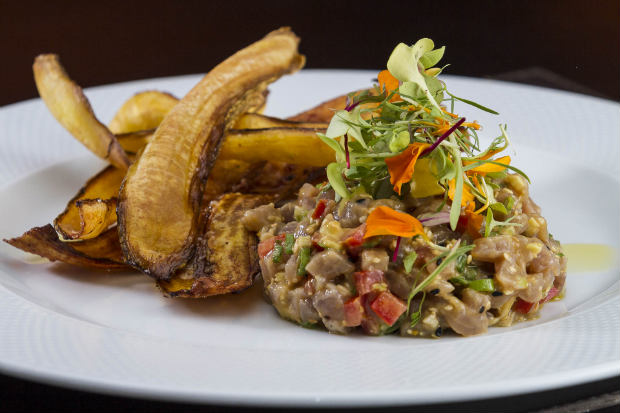 Um dos destaques do menu  o Tartare de atum nikkei, que vem acompanhado por chips de banana da terra. Fotos: Greg Rosa/Divulgacao