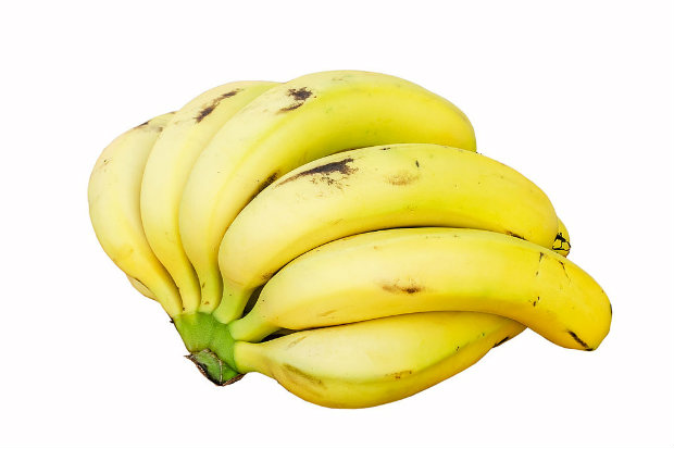 Banana nanica, ou "Cavendish",  era imune ao fungo at a dcada de 1990. (Foto: Augustus Binu/Wikimedia/Reproduo)
