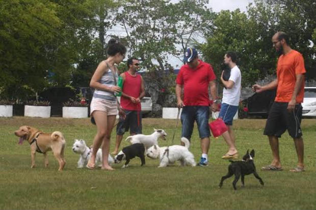 Espao permite a entrada de cachorros. Foto: Kennel Club/Divulgao