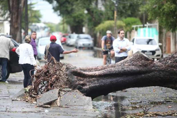rvores cadas e queda do fornecimento de energia foram transtornos causados pelas chuvas desta sexta-feira (29). Crdito: Hesodo Ges/DP