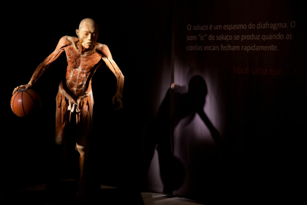 Exposio "O Fantastico Corpo Humano". Foto: Francisco Lorentz / Divulgao 
