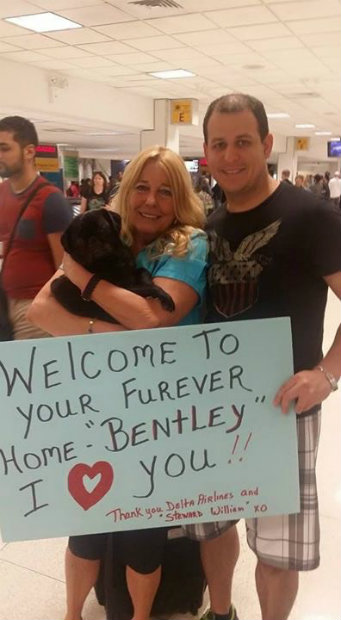 O DART transporta cachorros e gatos resgatados para suas famílias adotivas em todo os Estados Unidos. (Foto: Delta/Divulgação) O DART transporta cachorros e gatos resgatados para suas famílias adotivas em todo os Estados Unidos. (Foto: Delta/Divulgação)