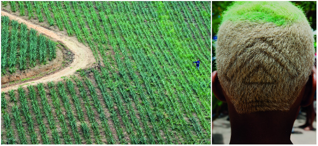 Fotos sugerem relao entre paisagens naturais e corpos humanos (Foto: Dominique Berth/ Divulgao)