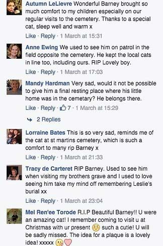 Vrios internautas lamentaram a morte do animal. Foto: Guernsey Press/Facebook/Reproduo