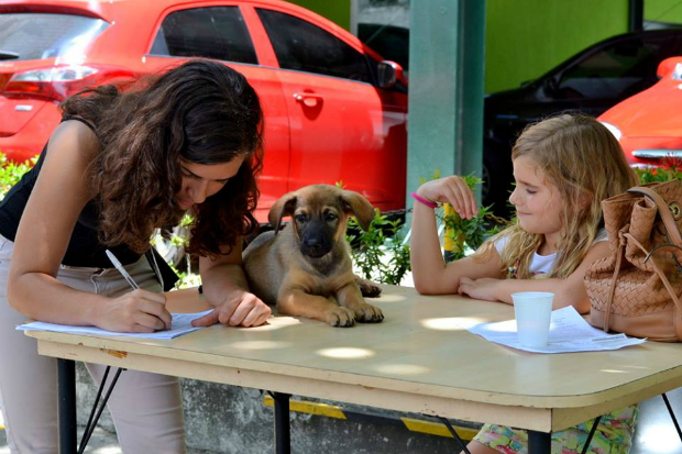 Foto: Gigi Pet Sitter/Divulgação Foto: Gigi Pet Sitter/Divulgação