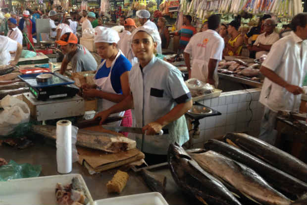 Crise faz consumidor escolher peixes mais baratos no ...