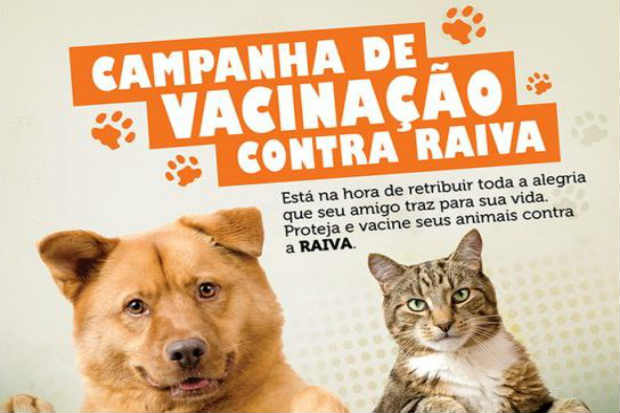 Segundo a Secretaria Estadual de Saúde, existem mais de 100 mil animais no Agreste pernambucano. Foto: Divulgação Segundo a Secretaria Estadual de Saúde, existem mais de 100 mil animais no Agreste pernambucano. Foto: Divulgação