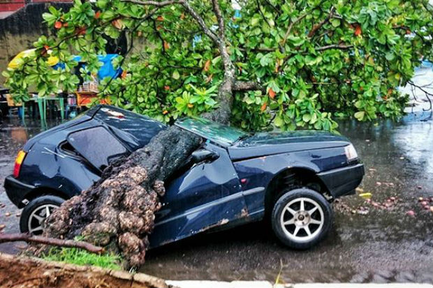  Na Rua General Joaquim Incio, na Ilha do Leite, no Recife, uma rvore atingiu um carro. Foto: Jonathas Baracho/Instagram/Cortesia