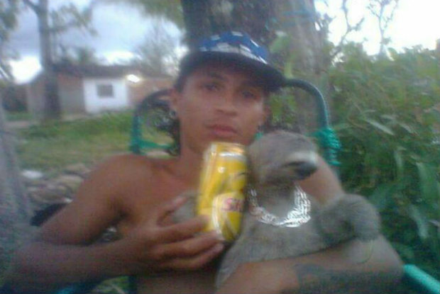 Em uma rede social, ele postava fotos abraando jacars e "dividindo" uma cerveja com uma preguia. Foto:CPRH/Divulgao.