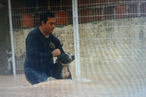 Ces foram resgatados por pessoas que passaram em frente ao prdio. Foto: Rodrigo de Luna/ TV Clube