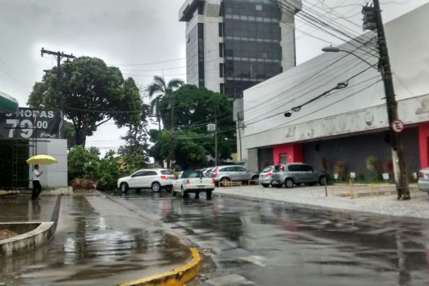 Na Antnio Falco, outra rvore caiu, na tarde desta sexta-feira, interditando a via, no bairro de Boa Viagem, zona Sul do Recife. Foto: