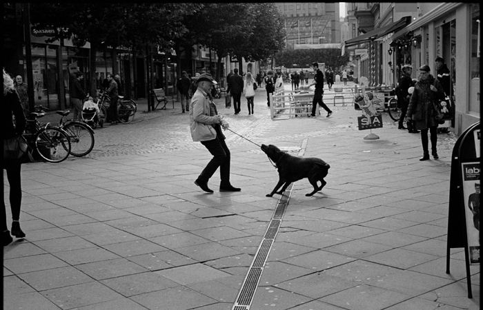 Participantes ainda serão instruídos sobre como se aproximar de um cão agressivo e como lidar com a agressividade. Foto: Ronny Olsson/Flickr Participantes ainda serão instruídos sobre como se aproximar de um cão agressivo e como lidar com a agressividade. Foto: Ronny Olsson/Flickr