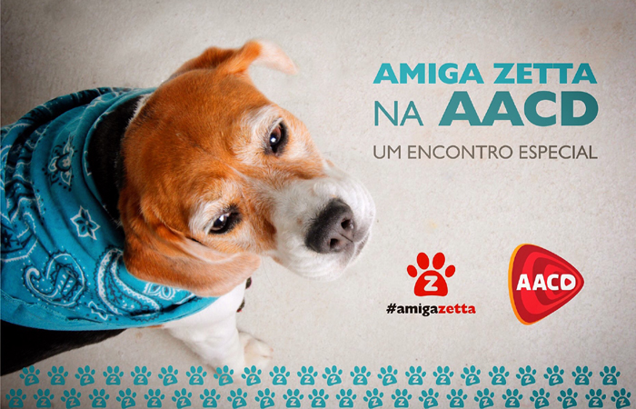 Zetta, cadelinha mascote do projeto, estará presente e vai recepcionar as crianças. Foto: Divulgação Zetta, cadelinha mascote do projeto, estará presente e vai recepcionar as crianças. Foto: Divulgação