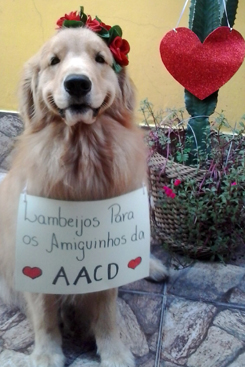 Seguidores podem mandar pelas redes sociais fotos dos seus animais, que sero mostradas no evento. Foto: Divulgao