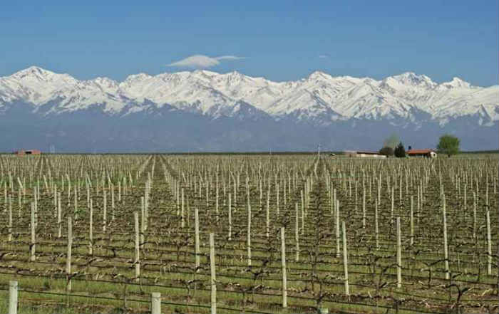 Centro vitivincola mais importante da Argentina, Mendoza concentra 70% da produo de vinhos do pas. Foto: Inprotur/Divulgao
