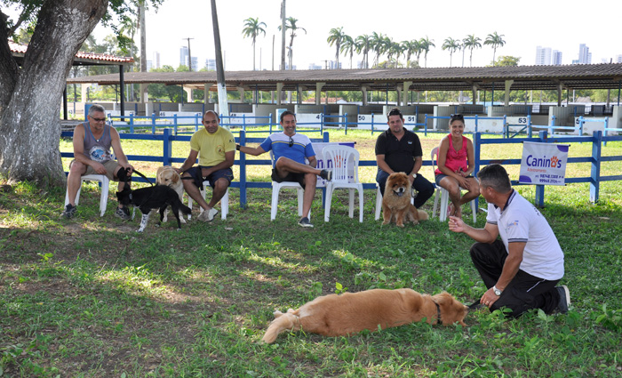 As aulas vo abordar temas como educao canina (correo dos maus hbitos), noes da psicologia canina, entre outros. Foto: Divulgao