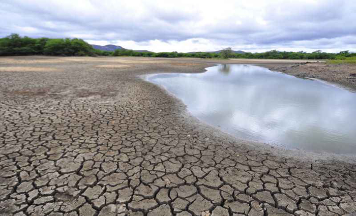 Em Sertnia, interior de Pernambuco, a imagem de uma das piores secas da histria do pas: temor de especialistas  que situao possa piorar. Foto: Annaclarice Almeida/DP