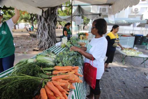 Feira agroecolgica acontece toda quarta-feira em Santo Amaro. Crdito: Marlon Diego/Esp.DP (Marlon Diego/Esp.DP)