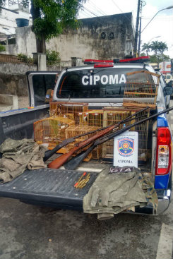 Pssaros silvestres e armas foram apreendidos neste domingo (19), aps fiscalizao da Cipoma. Foto: Cipoma/Reproduo do whatsapp