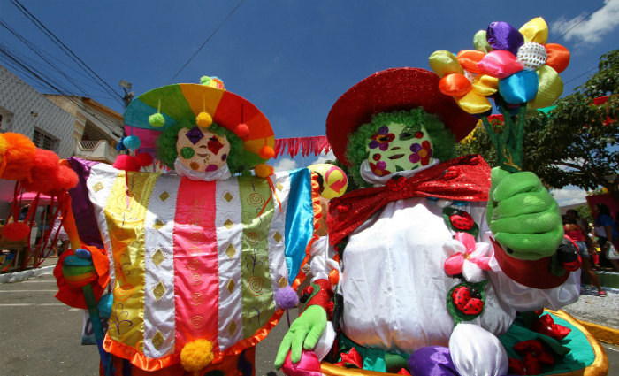 Papangu florista e caboclo de lana moderno mostram que Carnaval no tem regra. Foto: Paulo Paiva/DP