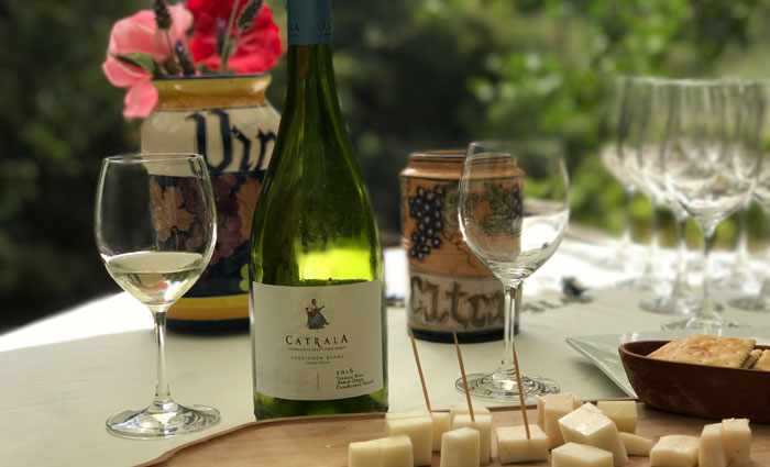 A vincola boutique Catrala produz por ano 165 mil garrafas. Foto: Edilson Segundo/DP
