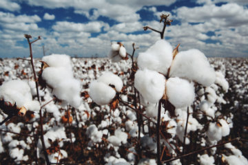 A matéria-prima e o processo de fabricação das peças são preocupações da moda sustentável. Foto: The True Cost/Reprodução A matéria-prima e o processo de fabricação das peças são preocupações da moda sustentável. Foto: The True Cost/Reprodução