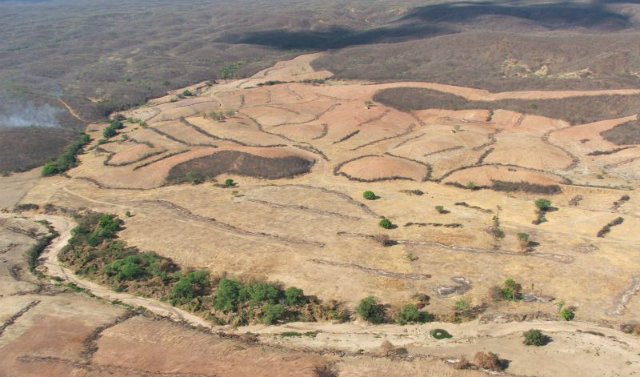 rea desmatada de Caatinga: pesquisa com base em dados de satlites. Foto: Correio Braziliense/Reproduo