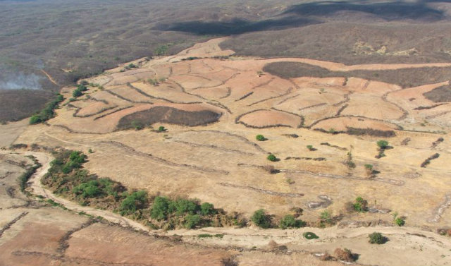 Área desmatada de Caatinga: pesquisa com base em dados de satélites. Foto: Correio Braziliense/Reprodução Área desmatada de Caatinga: pesquisa com base em dados de satélites. Foto: Correio Braziliense/Reprodução