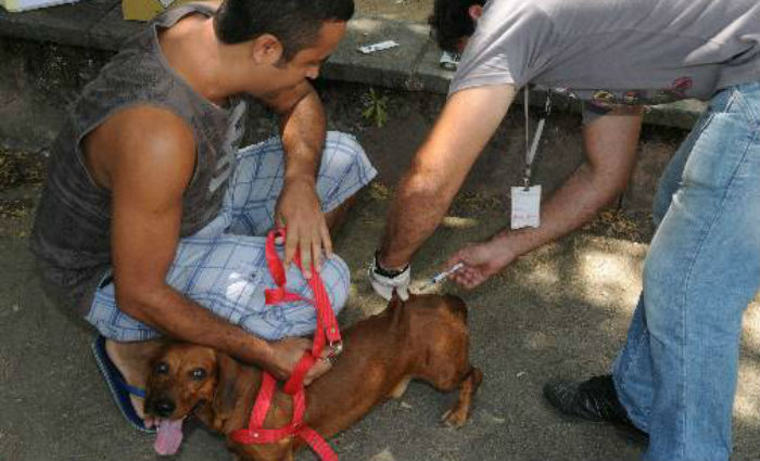 Sbado  D da Campanha Nacional de Vacinao Antirrbica Canina e Felina. Foto: Edvaldo Rodrigues/DP
