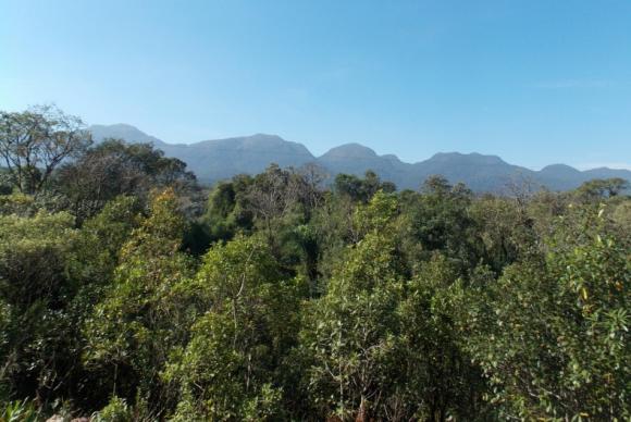 Mata Atlntica est espalhada por 17 estados brasileiros. Foto: Arquivo/Agncia Brasil 