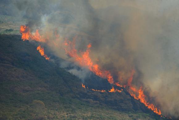 Em 2016, a rea atingida pelo fogo foi cinco vezes maior que a Regio Administrativa de guas Claras. Foto: Agncia Brasil 