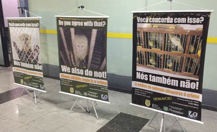 PRF e CPRH fazem campanha de combate ao trfico de animais no aeroporto. Foto: PF/ Divulgao