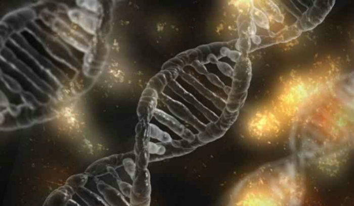 Angela Saito, do Laboratrio Nacional de Biocincias, que utiliza a tcnica, conhecida como Crisper em camundongos, diz que h risco de que a tcnica produza mutaes indesejadas. Foto: Pixabay