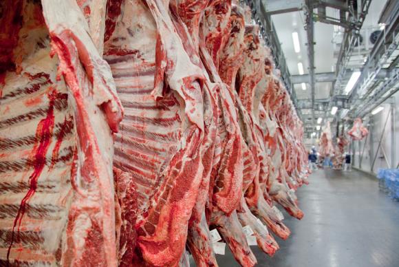 O Brasil tem hoje 215 milhes de cabeas de gado e produz 9,5 milhes de toneladas de carne bovina. Foto: Divulgao/Abiec
