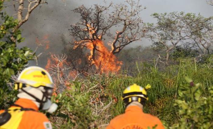 ICMBio e homens do Corpo de Bombeiros Militar do Distrito Federal (CBMDF) seguem trabalhando em duas reas do parque atingidas pelo fogo nos ltimos dias. Foto: Fabio Pozzebonn/Agncia Brasil (ICMBio e homens do Corpo de Bombeiros Militar do Distrito Federal (CBMDF) seguem trabalhando em duas reas do parque atingidas pelo fogo nos ltimos dias. Foto: Fabio Pozzebonn/Agncia Brasil)