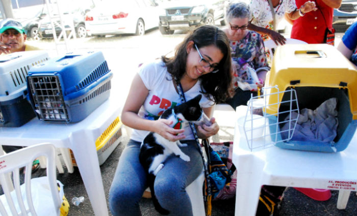 Adoo de animais no Shopping Recife. Foto:Inaldo Menezes/ Divulgao
