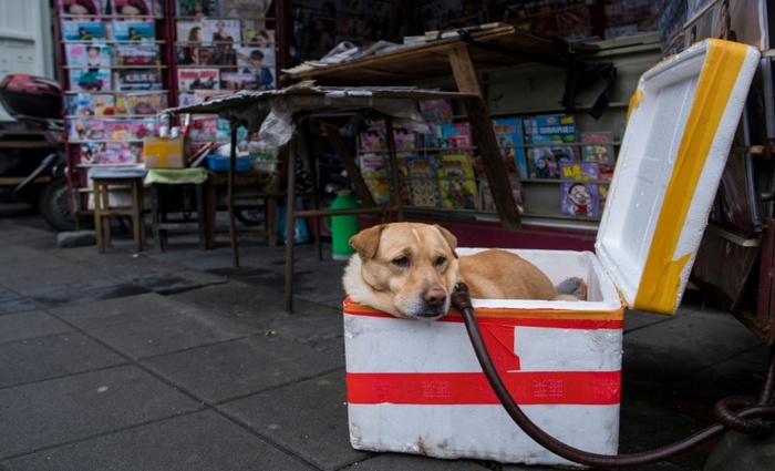 Foto: AFP/Arquivos / Johannes EISELE