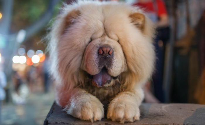 Foto: Getty Foto: Getty
