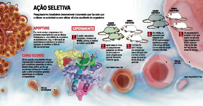 Composto que consegue ativar a proteína que desencadeia esse processo de suicídio dos agentes tumorais. Foto: Valdo Vigor/Correio Braziliense Composto que consegue ativar a proteína que desencadeia esse processo de suicídio dos agentes tumorais. Foto: Valdo Vigor/Correio Braziliense
