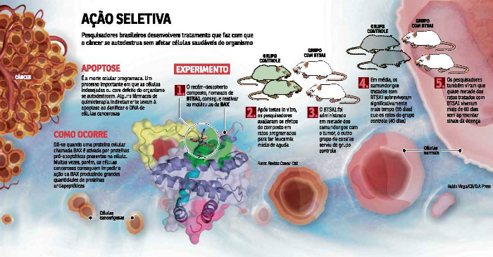 Composto que consegue ativar a protena que desencadeia esse processo de suicdio dos agentes tumorais. Foto: Valdo Vigor/Correio Braziliense