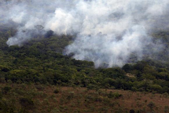 Incndio atingiu 66.014 mil hectares, o equivalente a 28% do Parque Nacional da Chapada dos Veadeiros. Foto: Valter Campanato/Agncia Brasil