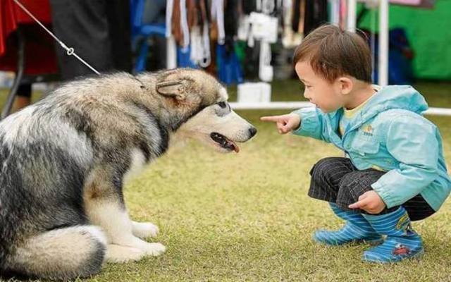 Estudos j demonstraram que o convvio de animais com crianas pode prevenir alergias. Foto: Park Ji-Hwan/AFP