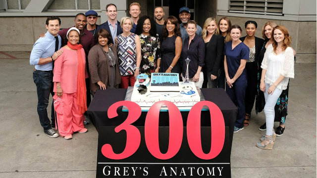 14 temporada greys anatomy